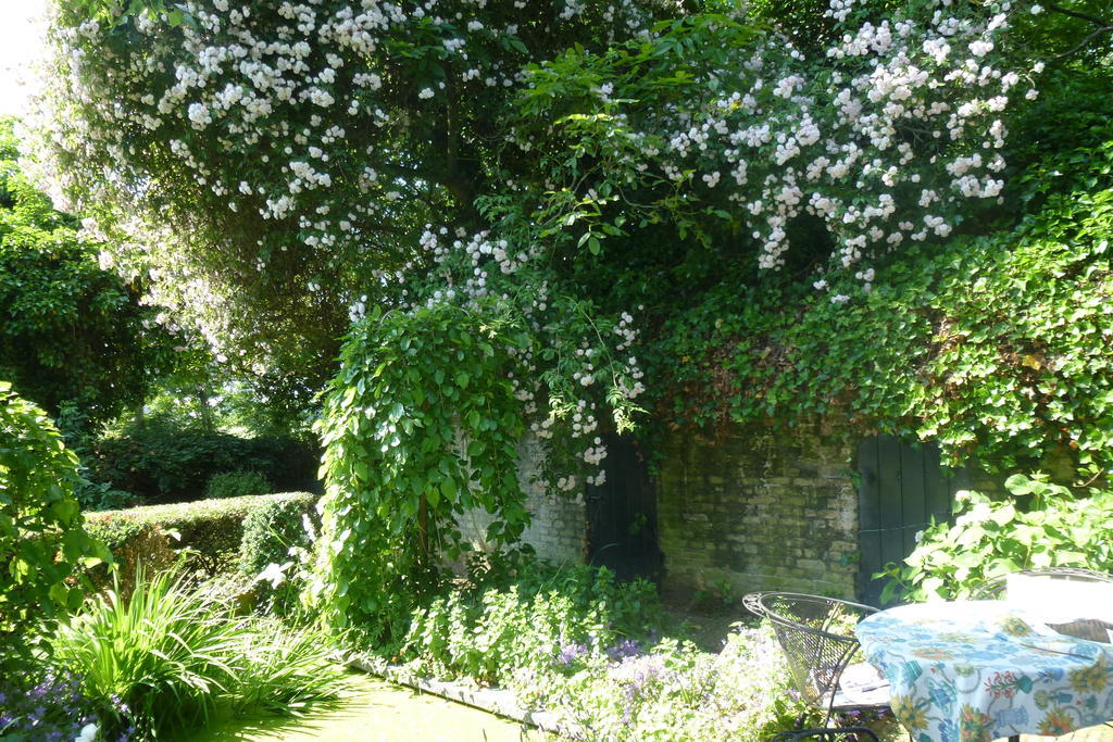 Guesthouse Veerhoeve Sluis Exterior foto